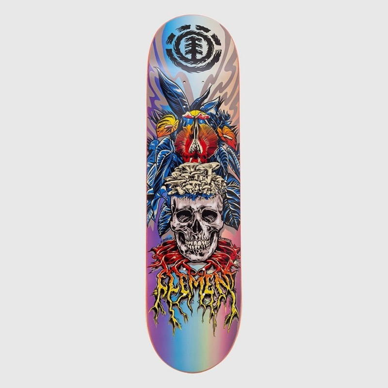 Shape Element 8.180 Lamour Skull Multicolorido